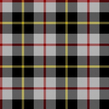 FitzJoly, Henry, Stobo (Personal) Tartan kilt