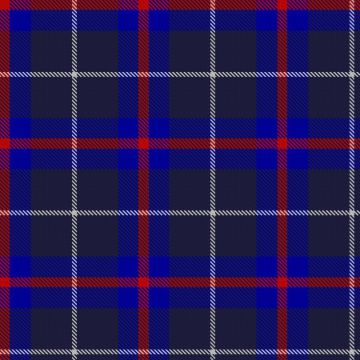 Fong Celebration (Personal) Tartan kilt