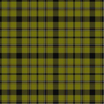 Forbes, Brian and Family, Hunting (Personal) Tartan kilt