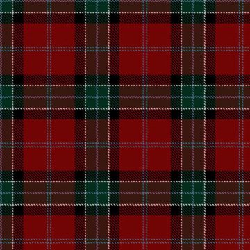 Force-Garrett, Daniel and Amy, & Family (Personal) Tartan kilt
