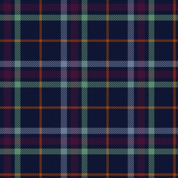 Forth Valley College Tartan kilt