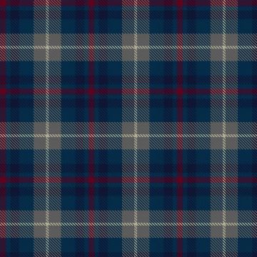 Fox Eves Wedding  Tartan kilt