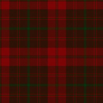 Frame (Ferniegair) (Personal) Tartan kilt