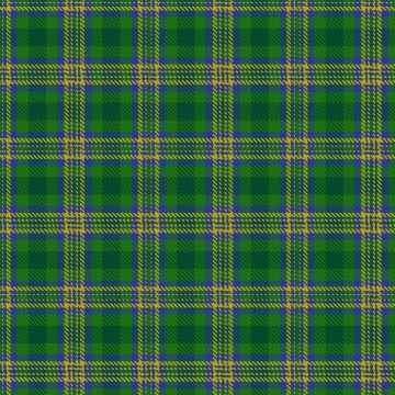 Frances Irwin Handweavers Guild 50th Anniversary Tartan kilt