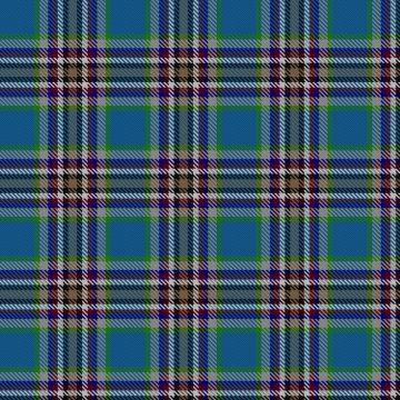 Fremsaeter, Jenny (Personal) Tartan kilt