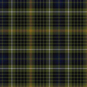 Fyvie Tartan kilt