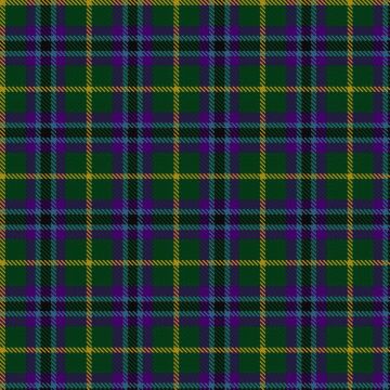 Gala Water Old Tartan kilt