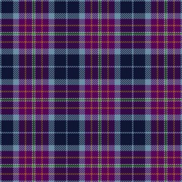 Gangopadhyay, S & Family (Personal) Tartan kilt