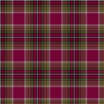 Gardner, Lynne Michele (Personal) Tartan kilt
