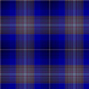 Gavrielov, Vladislav & Family (Personal) Tartan kilt