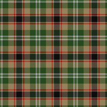 Hackett William (Coatbridge) Hunting (Personal) Tartan kilt