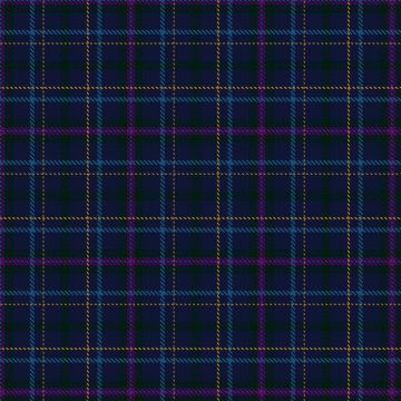 Haider Schoener von Sonnheim, C & W (Personal) Tartan kilt