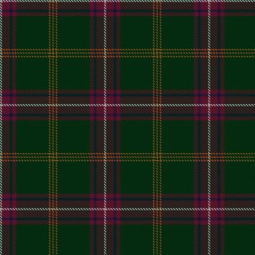 Hall from Springbrook and Newtown (Personal) Tartan kilt