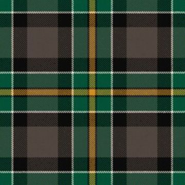 Hamilton of Brandon Tartan kilt