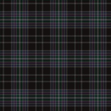 Hand, Edinburgh Tartan kilt