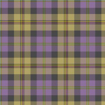 Hankyu Tartan kilt