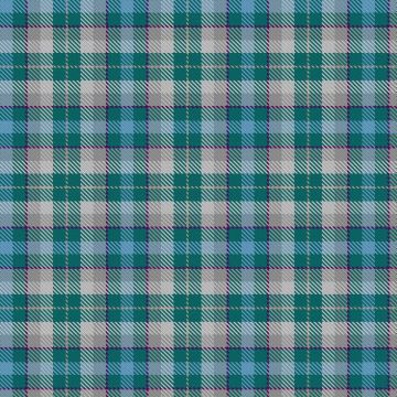 Happer V & North M and Family (Personal) Tartan kilt