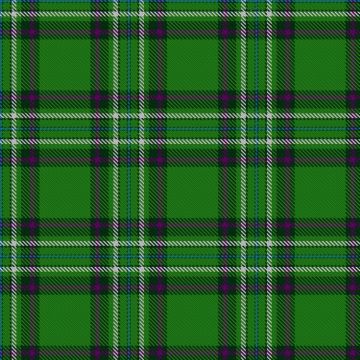 Harkin, D and Gil-Abillera, H - Wedding (Personal) Tartan kilt