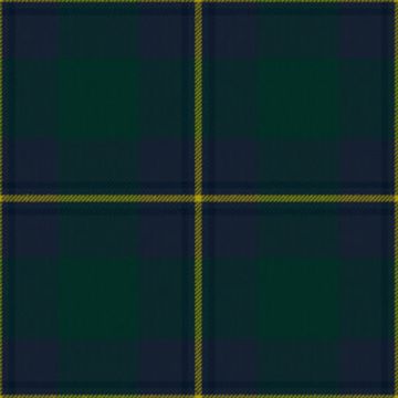 Irvine Of Bonshaw Tartan Kilt