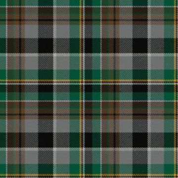 Les Cercles de Femme Tartan kilt