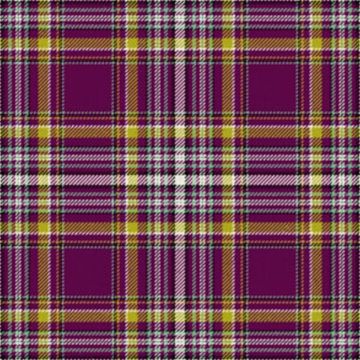 Lions Tartan Kilt