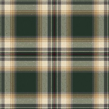 MacAleavy Ancient Tartan Kilt
