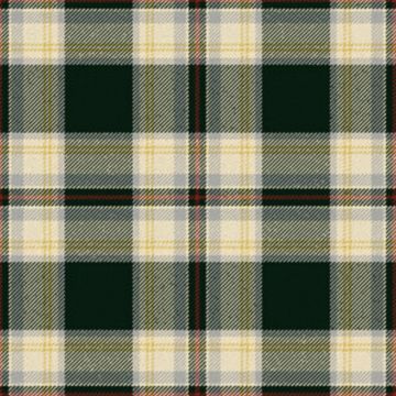 MacAleavy Modern Tartan Kilt