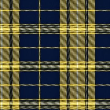 Morris of Wales Tartan kilt