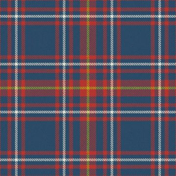 Newton Primary School Ancient Tartan Kilt