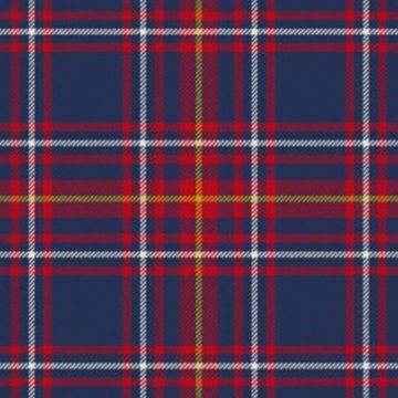 Newton Primary School Tartan Kilt