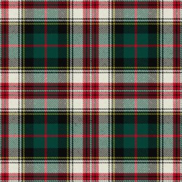 Palmer Edward Modern Tartan Kilt