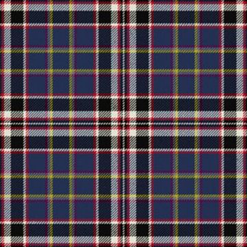 Queen Mary RMS Tartan Kilt