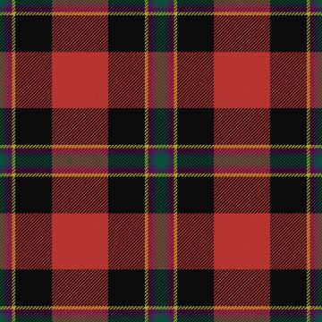 Rei Okamoto Ancient Tartan Kilt