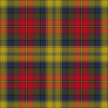 Robieson Playfield Playfield House Tartan Kilt