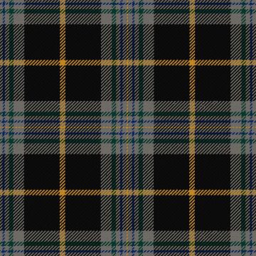 Royal College Of General Practitioners Tartan Kilt