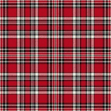 Sabretts Tartan Kilt