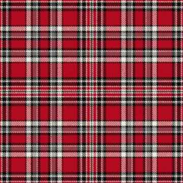 Sabrettes Tartan Kilt