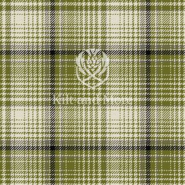 Shapiro Ancient Tartan Kilt