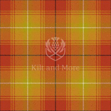 Shenzhen Tartan Kilt