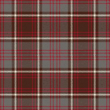 University Plaid Tartan Kilt