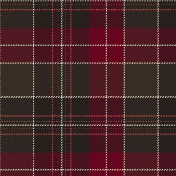 St David's Brithwe Dewi Sant Modern Tartan Kilt