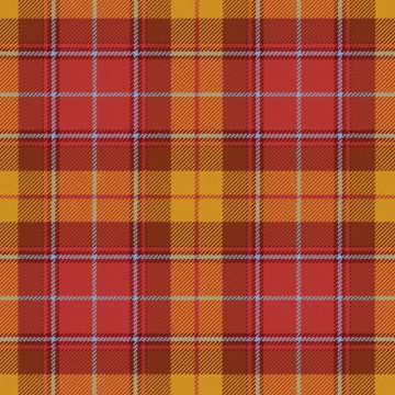 Star Is Born Tartan Kilt