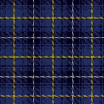 Swedish Tartan Kilt