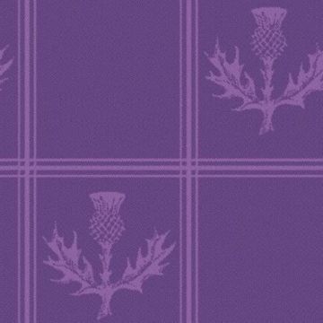 Thistle Purple Tartan kilt