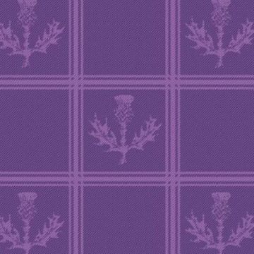 Thistle Purple Small Set Tartan kilt