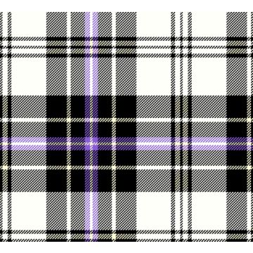 Thistle Shadow Tartan kilt
