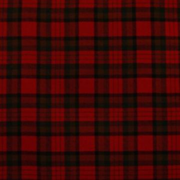 Tipperary District Tartan kilt