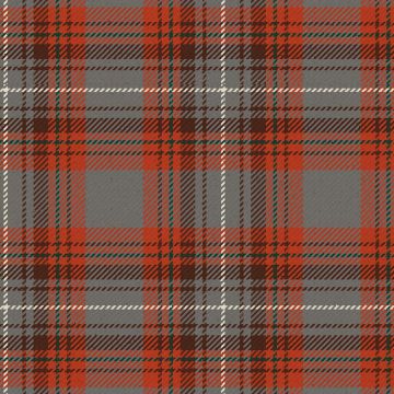 Toyokawa Check Modern Tartan Kilt