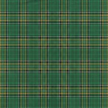 Whitfield Tartan Kilt
