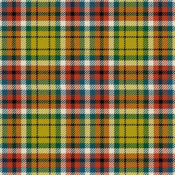 Williams Lake City Ancient Tartan Kilt